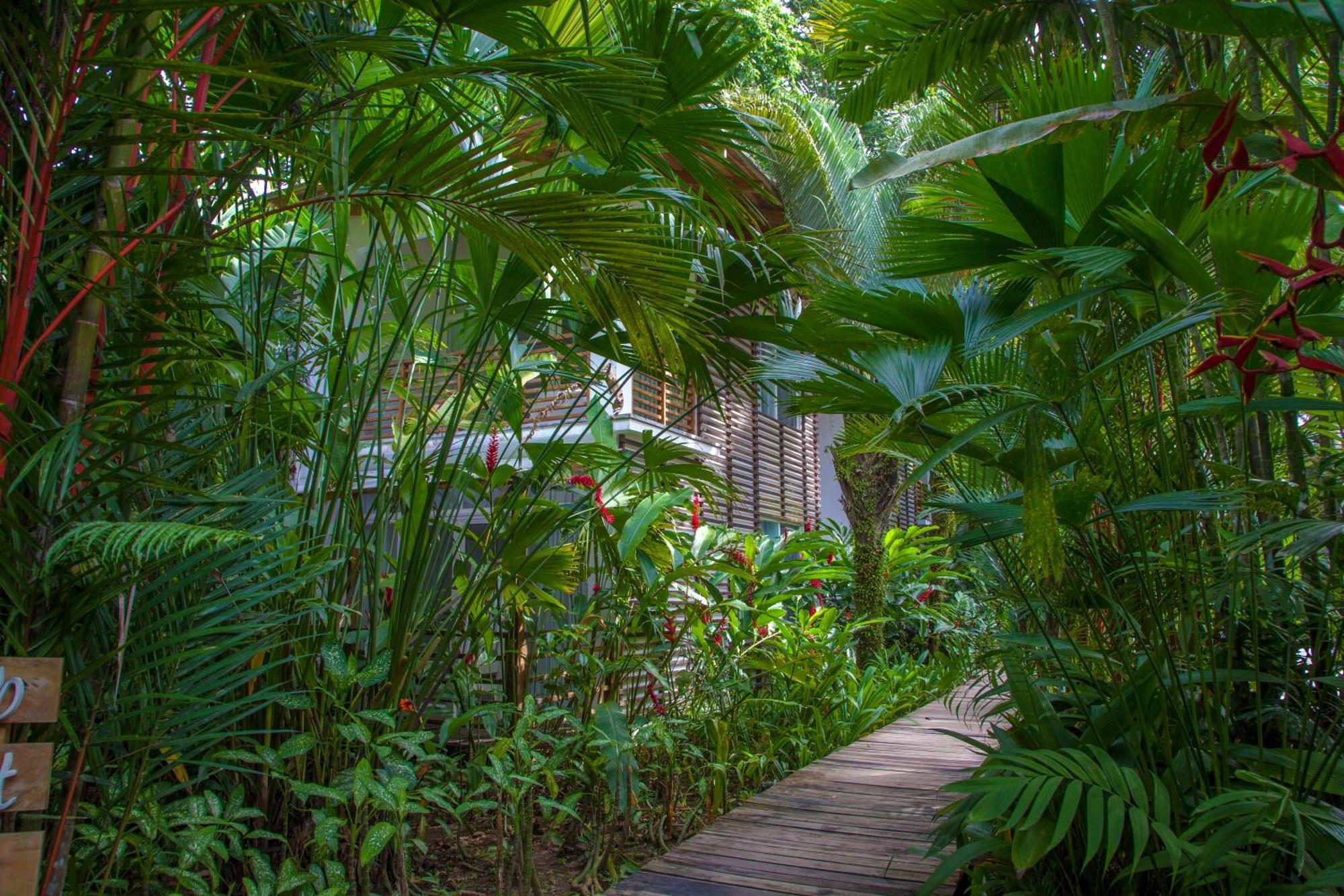 Le Cameleon Boutique Hotel Puerto Viejo de Talamanca Exterior foto